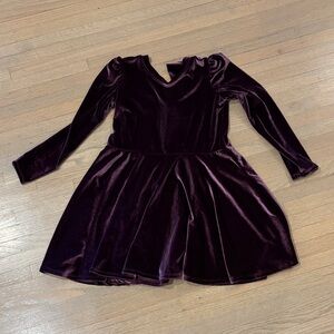 Chaser Velvet Long Sleeve Dress in Deep Purple